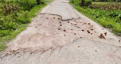 ৮টি শিক্ষা প্রতিষ্ঠানে যাতায়াতের একমাত্র রাস্তার বেহাল দশা