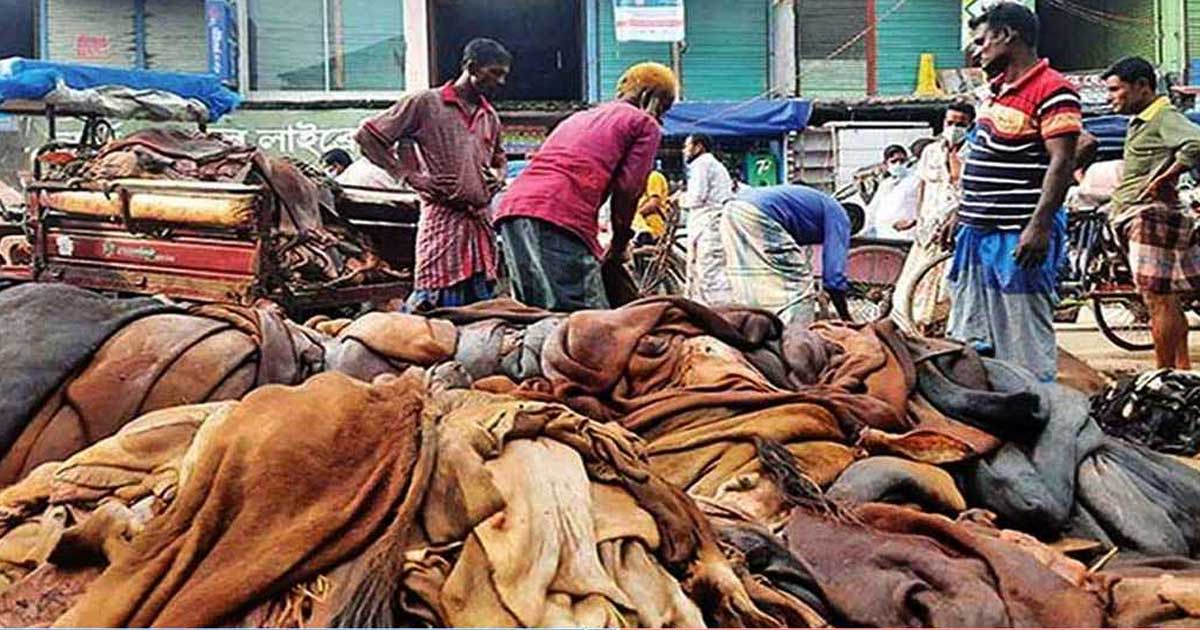 চামড়া বহন ও সংরক্ষণ নিয়ে বিসিকের নির্দেশনা

