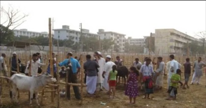 রাজধানীর হাট থেকে গরু উধাও: বিপাকে ক্রেতারা