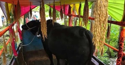 ‘কালো মানিক’ গ্রহণ করেননি খালেদা জিয়া