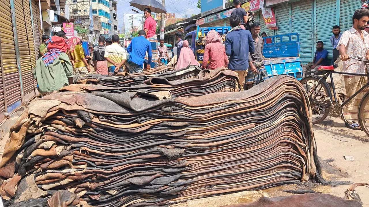সরকারি নির্ধারিত দামেও বিক্রি হচ্ছে না চামড়া