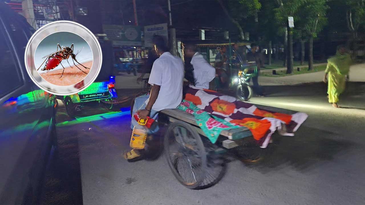 বরগুনায় ডেঙ্গুতে ২ জনর মৃত্যু, হাসপাতালে ১৭২