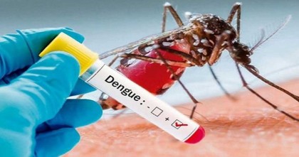 ২৪ ঘন্টায় ডেঙ্গুতে একজনের মৃত্যু