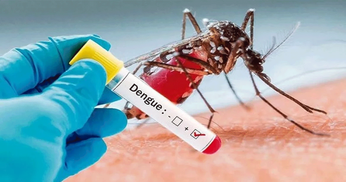 দেশে ২৪ ঘন্টায় ২৪৪ জনের ডেঙ্গু শনাক্ত