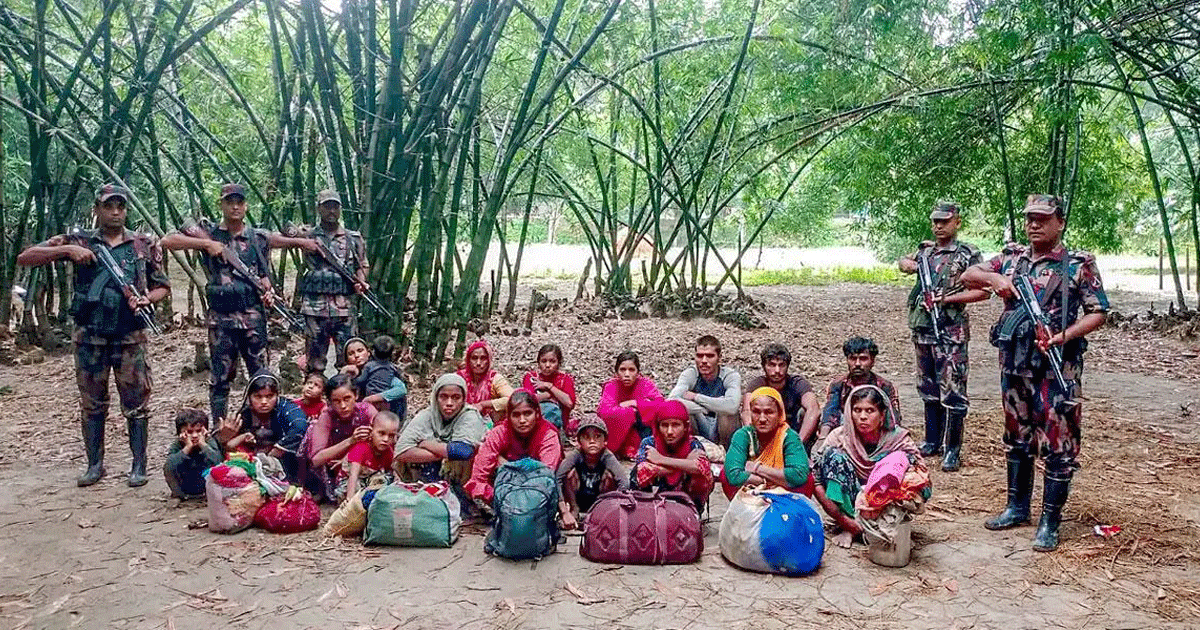 চাঁপাইনবাবগঞ্জ সীমান্ত দিয়ে ২০ জনকে পুশইন বিএসএফের
