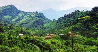 সীমান্তে মাইন বিস্ফোরণে পা উড়ে গেলো কিশোরের