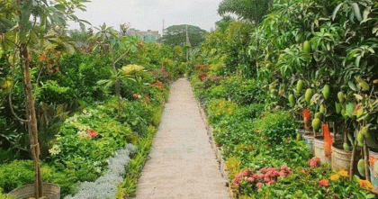 পরিবেশ ও বৃক্ষমেলা শুরু হচ্ছে আজ 