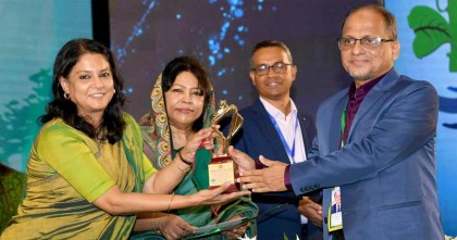 জাতীয় পরিবেশ পদকসহ ৪ ক্ষেত্রে পুরস্কার দিল সরকার