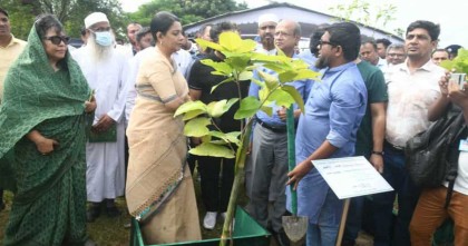 জিরো সয়েল কর্মসূচি বাস্তবায়নে সবার সহযোগিতা জরুরি: উপদেষ্টা রিজওয়ানা