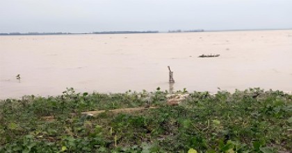 যমুনায় পানি বৃদ্ধি অব্যাহত, এখনই বন্যার আশঙ্কা নেই