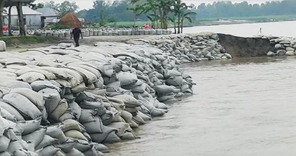 যমুনায় পানি বাড়ছে, ভাঙনে হারাচ্ছে ফসলি জমি