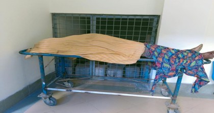 হাতীবান্ধায় ভাতিজার দায়ের কোপে চাচার মৃত্যু

