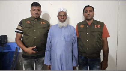 প্রাণ গেল বাবুই ছানার, কাটা পড়ল সরকারি গাছ: ঝালকাঠিতে পরিবেশ ধ্বংসে দুই মামলা