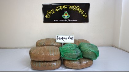 যমুনা সেতু পশ্চিমে র‌্যাব-১২ এর অভিযানে ১৬ কেজি গাঁজাসহ গ্রেফতার ১