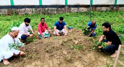 ছেলে থাকতে ‘বেওয়ারিশ’ দাফন! ব্রাহ্মণবাড়িয়ায় এক বৃদ্ধের মৃত্যুর পর করুণ পরিণতি