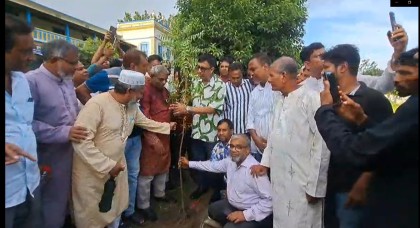 সাভারের আশুলিয়ায় কৃষকদলের বৃক্ষরোপণ কর্মসূচি