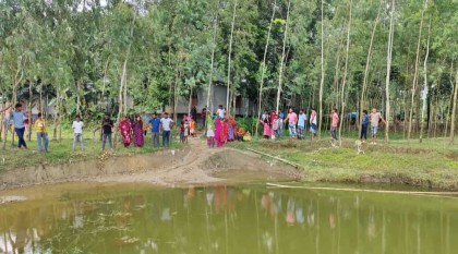 ভাইকে বাঁচাতে গিয়ে প্রাণ গেল দুজনেরই