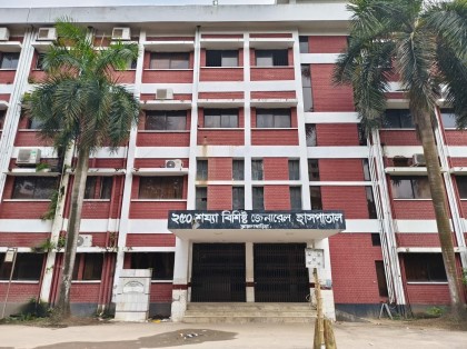 শাপলা তুলতে গিয়ে ডোবার পানিতে ডুবে দুই ভাইবোনের করুণ মৃত্যু