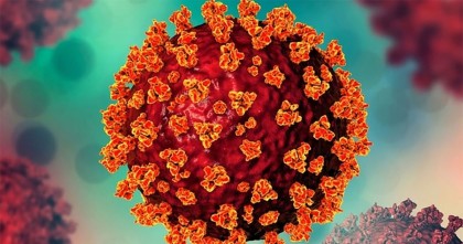 আরও ৭ জনের করোনা শনাক্ত