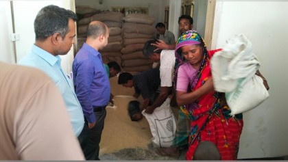 নদী ভাঙনে ক্ষতিগ্রস্ত ৩০০ পরিবারের মধ্যে চাল বিতরণ