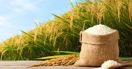 রিজিক বৃদ্ধির ৪ উপায়