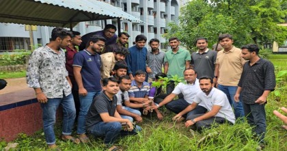 জুলাই শহীদদের স্মরণে ইবি ছাত্রদলের বৃক্ষরোপণ