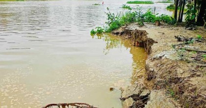 সোনাগাজীতে আবারো নদীভাঙন