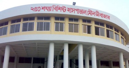 শ্রীমঙ্গলে সেপটিক ট্যাংকে নেমে প্রাণ গেলো ৪ তরুণের