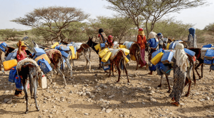ইয়েমেনে খাদ্যসঙ্কট চরমে: পৌনে ২ কোটি মানুষ খেয়ে না খেয়ে দিন কাটাচ্ছেন
