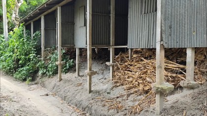 গাবসারার আশ্রয়ণ প্রকল্প: স্বপ্নের ঘর এখন হতাশার ধ্বংসস্তূপ