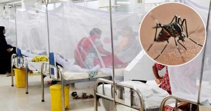 ডেঙ্গু নিয়ে হাসপাতালে ১৩৮ রোগী, বেশিরভাগই বরিশালের