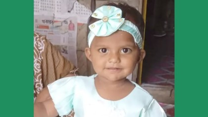 বাঁশখালীতে ঘরের ভেতর খেলতে খেলতেই সাপের কামড়ে শিশুর মর্মান্তিক মৃত্যু

