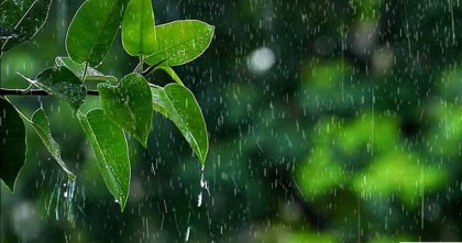 বৃষ্টি মহান আল্লাহর দান : বৃষ্টির সময় নবীজির আমল সমূহ