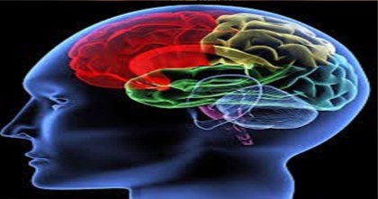 জীবনকে রাঙাতে স্মৃতিশক্তিকে শানিত করুন