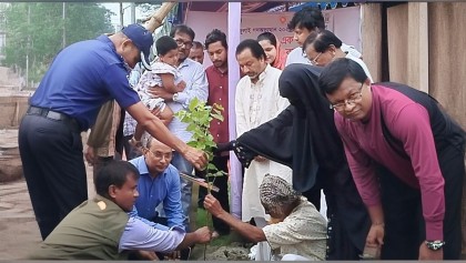 সিরাজগঞ্জে জেলা প্রশাসন ও বন বিভাগের উদ্যোগে ১৩ শহিদের স্মরণে ১৩টি বৃক্ষরোপণ 

