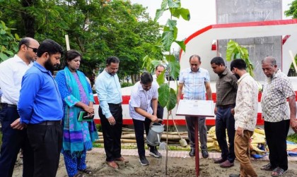 শেরপুরে জুলাই শহীদদের স্মরণে বৃক্ষরোপণ কর্মসূচি

