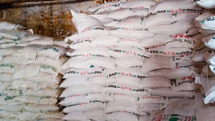 চুয়াডাঙ্গায় তীব্র সারসংকট: কৃষক বলি সিন্ডিকেটের কারসাজিতে