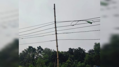 ভূঞাপুরে বিদ্যুৎ প্রকল্পে অনিয়ম: বাঁশের খুঁটি-ফাটা তারে ঝুঁকিপূর্ণ সংযোগ