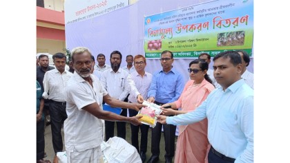 ঝিনাইদহে সাড়ে ৮’শ কৃষকের মাঝে বিনামূল্যে পেঁয়াজ বীজ ও সার বিতরণ