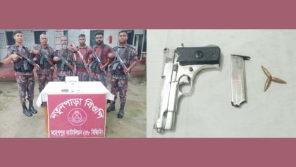 জীবননগর সীমান্ত থেকে বিদেশী পিস্তল ও গুলি উদ্ধার