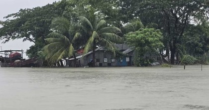 অতিরিক্ত জোয়ারে তলিয়ে গেছে নিঝুম দ্বীপ, ভেসে গেছে মাছের ঘের