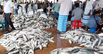 ঘাটে ইলিশের জোয়ার থাকলেও বাজারে নেই তেমন কোনো স্বস্তি