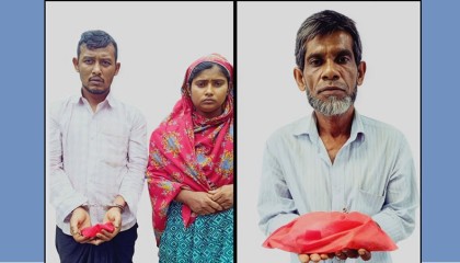 বাগাতিপাড়ায় একদিনে তিন মাদক কারবারি আটক, ঘরে হেরোইন, দোকানে গাঁজা উদ্ধার