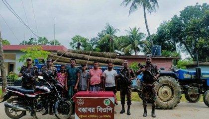 নওগাঁ সীমান্ত দিয়ে ভারতে কাঠ পাচারের সময় আটক ৫ চোরাকারবারী

