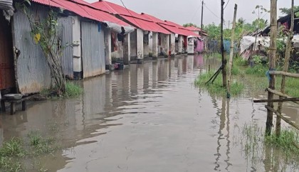 জোয়ারের পানিতে তলিয়ে যাচ্ছে বাগেরহাটের গুচ্ছগ্রাম, চরম দুর্ভোগে স্থানীয়রা
