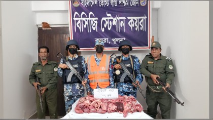 কোস্ট গার্ডের অভিযানে ৩২ কেজি হরিণের মাংস জব্দ