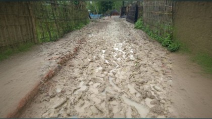 পেকুয়ায় দুই যুগ ধরে অবহেলায় কাদেরিয়া পাড়া সড়ক, চরম ভোগান্তিতে পাঁচ গ্রামের মানুষ

