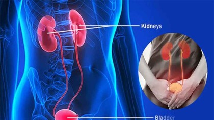 দিনে কতবার প্রস্রাব হওয়া স্বাভাবিক