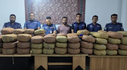 কসবায় ২০৫ কেজি ভারতীয় গাঁজাসহ যুবক গ্রেপ্তার