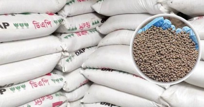 সার সিন্ডিকেটে আওয়ামী ডিলাররা, কৃত্রিম সংকটে ভুগছে কৃষক